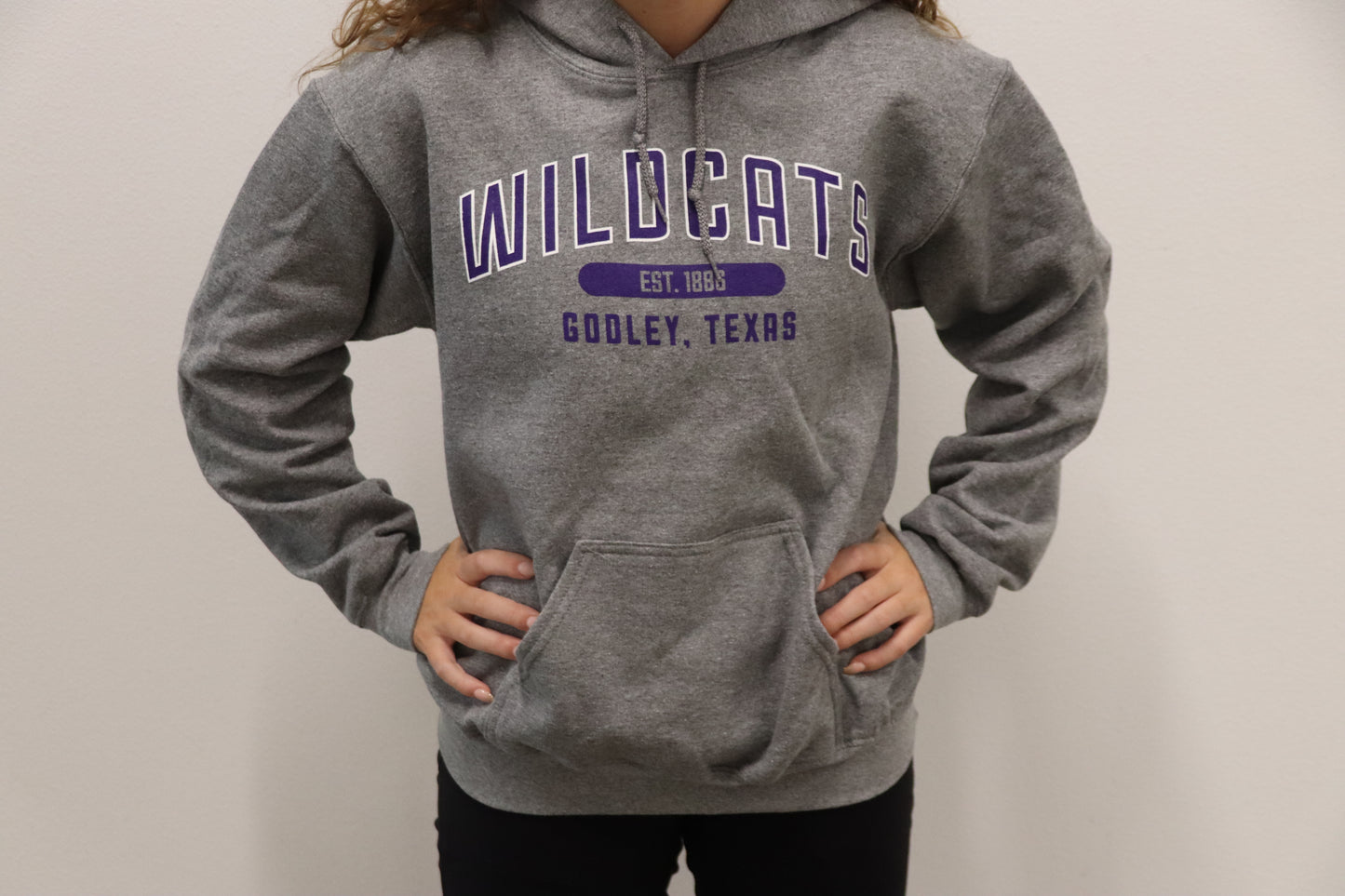 Gray Wildcat Hoodie